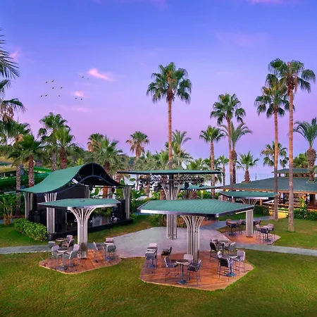 Arycanda Kirman Premium Okurcalar