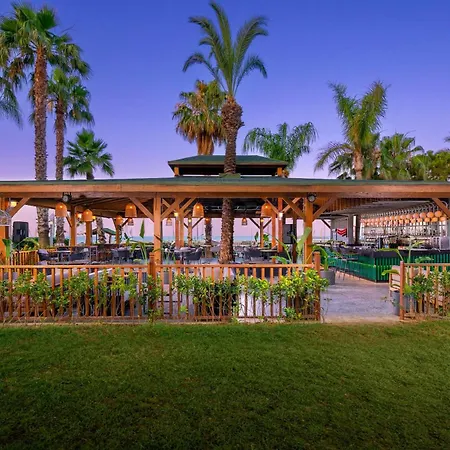 Arycanda Kirman Premium Okurcalar